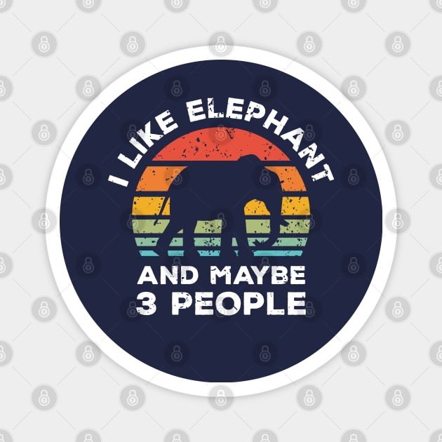 I Like Elephant and Maybe 3 People, Retro Vintage Sunset with Style Old Grainy Grunge Texture Magnet by Ardhsells